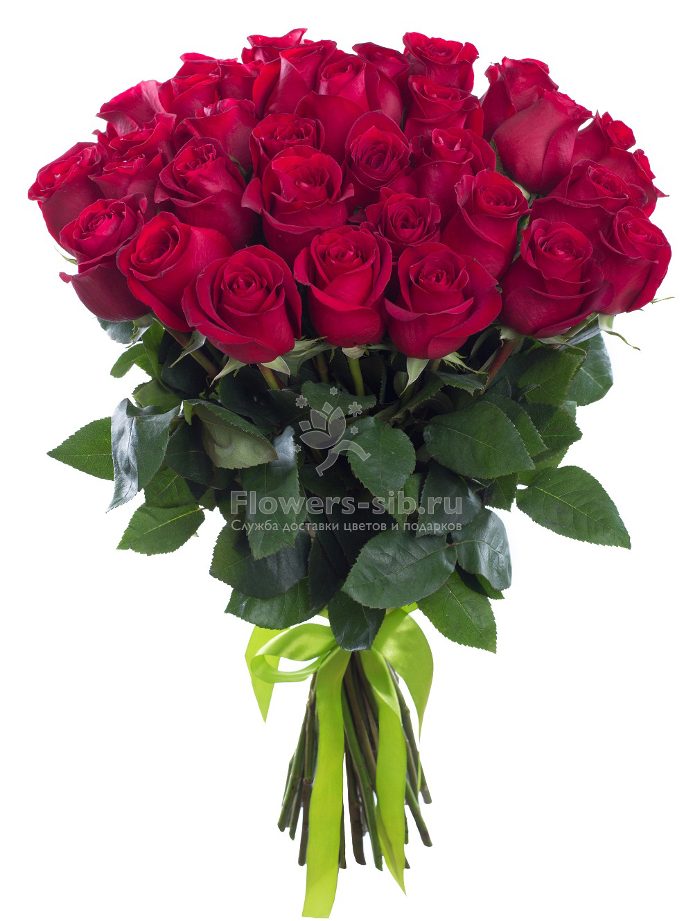 BOUQUET OF 37 ROSES